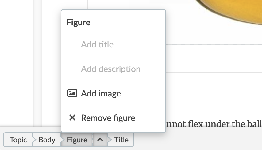 Fonto developer documentation
